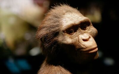 COMEDY IMPROV: How Lucy Died, and Why It Matters