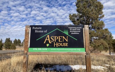 Join Thingamajig Theatre in Helping to Build Aspen House
